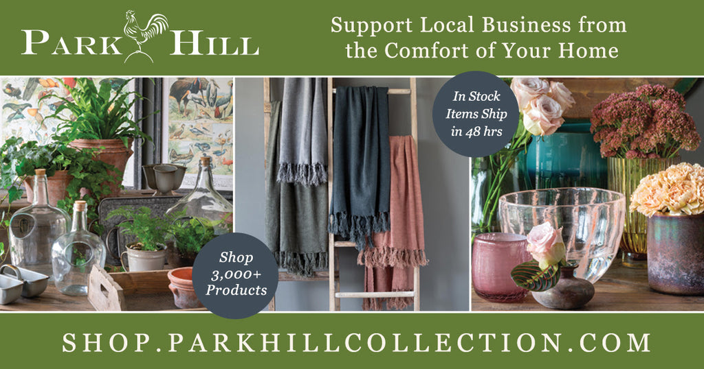 Park Hill Small Shop Initiative